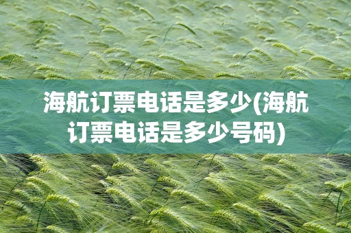 海航订票电话是多少(海航订票电话是多少号码)