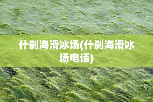 什刹海滑冰场(什刹海滑冰场电话)