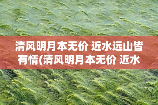清风明月本无价 近水远山皆有情(清风明月本无价 近水远山皆有情意思)