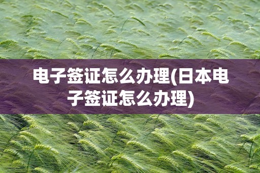 电子签证怎么办理(日本电子签证怎么办理)