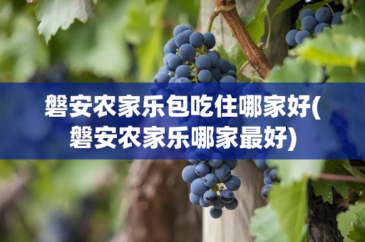 磐安农家乐包吃住哪家好(磐安农家乐哪家最好)