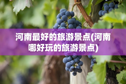 河南最好的旅游景点(河南哪好玩的旅游景点)