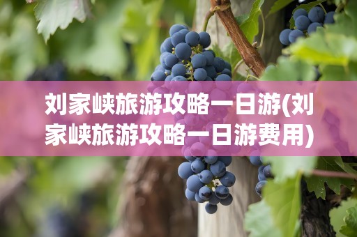 刘家峡旅游攻略一日游(刘家峡旅游攻略一日游费用)
