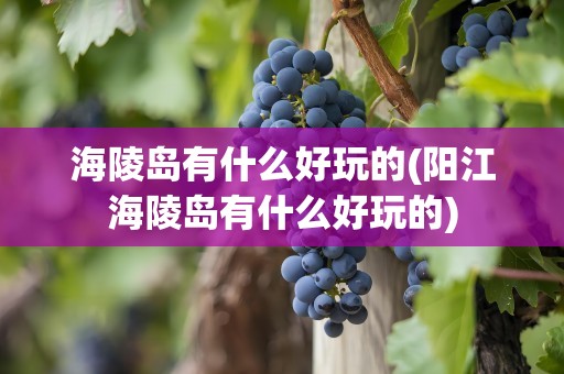 海陵岛有什么好玩的(阳江海陵岛有什么好玩的)