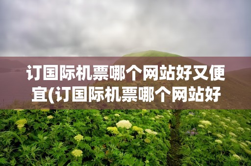 订国际机票哪个网站好又便宜(订国际机票哪个网站好又便宜点)