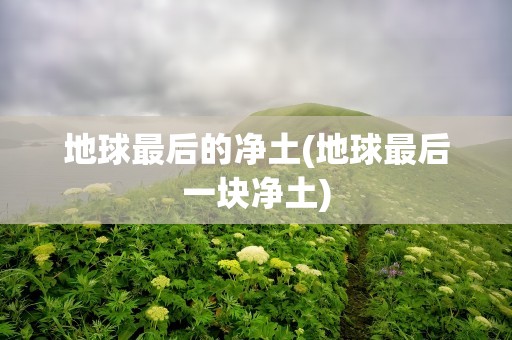 地球最后的净土(地球最后一块净土)