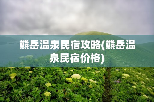 熊岳温泉民宿攻略(熊岳温泉民宿价格)