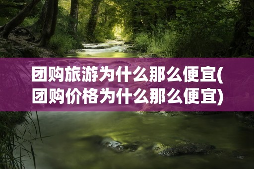 团购旅游为什么那么便宜(团购价格为什么那么便宜)