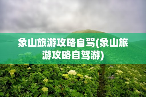 象山旅游攻略自驾(象山旅游攻略自驾游)