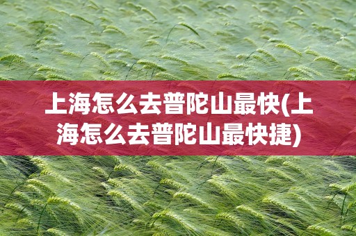 上海怎么去普陀山最快(上海怎么去普陀山最快捷)