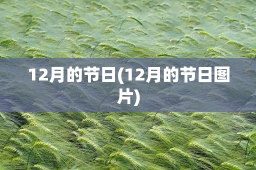12月的节日(12月的节日图片)