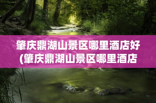 肇庆鼎湖山景区哪里酒店好(肇庆鼎湖山景区哪里酒店好点)