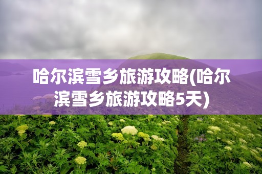 哈尔滨雪乡旅游攻略(哈尔滨雪乡旅游攻略5天)