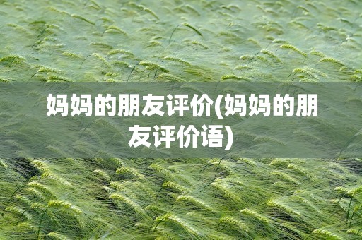 妈妈的朋友评价(妈妈的朋友评价语)