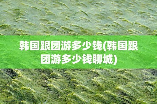 韩国跟团游多少钱(韩国跟团游多少钱聊城)