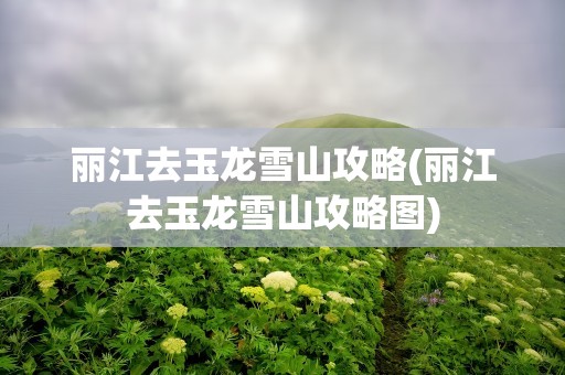 丽江去玉龙雪山攻略(丽江去玉龙雪山攻略图)