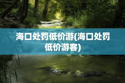 海口处罚低价游(海口处罚低价游客)