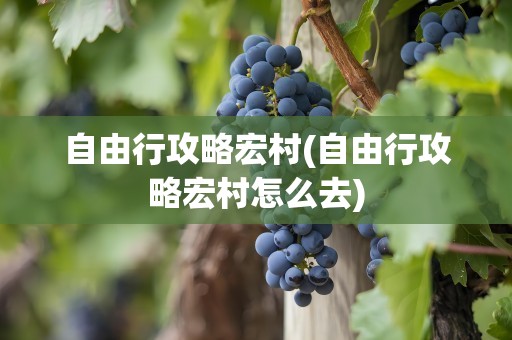 自由行攻略宏村(自由行攻略宏村怎么去)