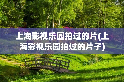 上海影视乐园拍过的片(上海影视乐园拍过的片子)