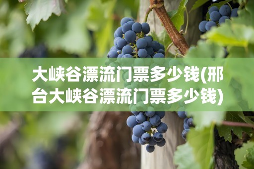 大峡谷漂流门票多少钱(邢台大峡谷漂流门票多少钱)