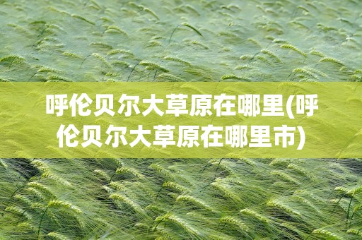 呼伦贝尔大草原在哪里(呼伦贝尔大草原在哪里市)