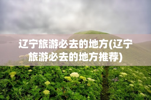辽宁旅游必去的地方(辽宁旅游必去的地方推荐)