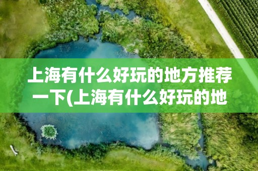上海有什么好玩的地方推荐一下(上海有什么好玩的地方推荐一下吗)