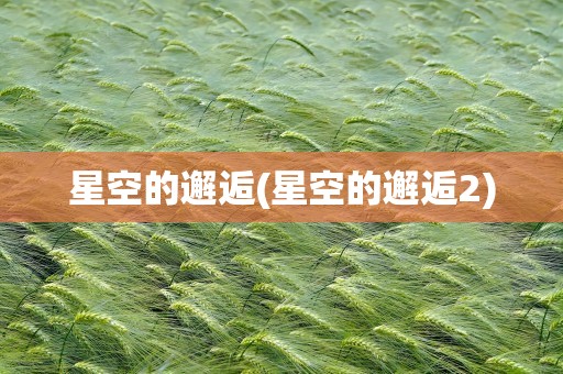 星空的邂逅(星空的邂逅2)