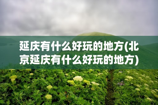 延庆有什么好玩的地方(北京延庆有什么好玩的地方)