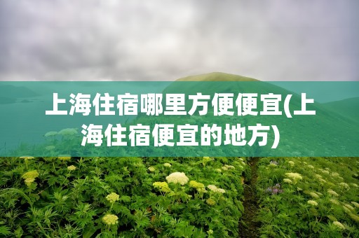 上海住宿哪里方便便宜(上海住宿便宜的地方)