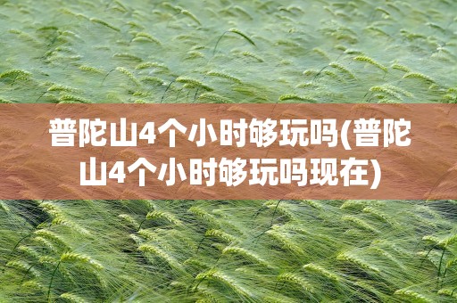 普陀山4个小时够玩吗(普陀山4个小时够玩吗现在)