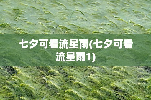 七夕可看流星雨(七夕可看流星雨1)