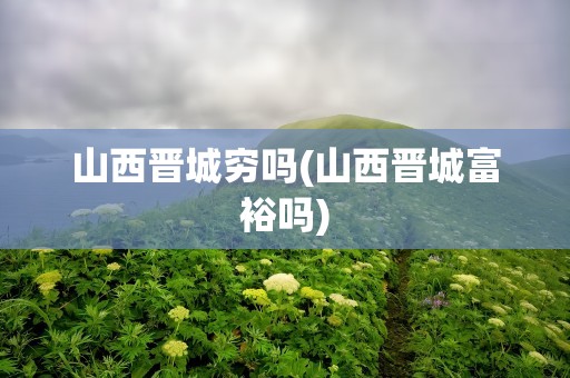 山西晋城穷吗(山西晋城富裕吗)