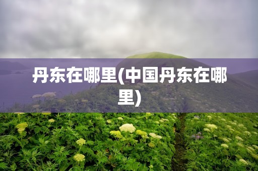 丹东在哪里(中国丹东在哪里)