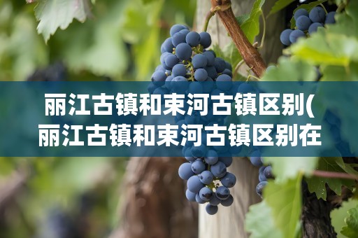 丽江古镇和束河古镇区别(丽江古镇和束河古镇区别在哪)