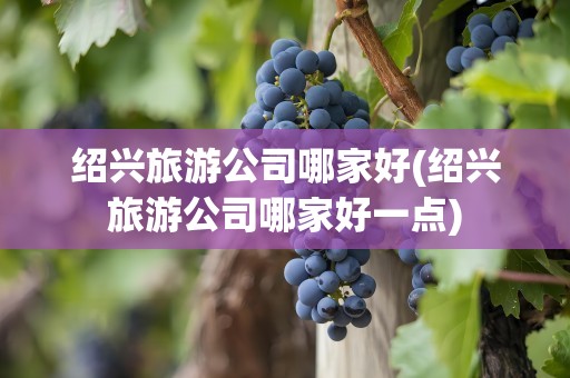 绍兴旅游公司哪家好(绍兴旅游公司哪家好一点)