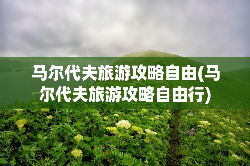 马尔代夫旅游攻略自由(马尔代夫旅游攻略自由行)