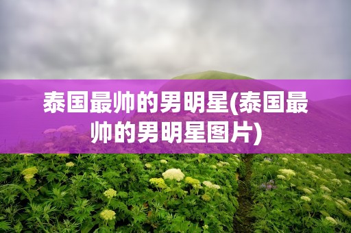 泰国最帅的男明星(泰国最帅的男明星图片)