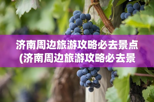 济南周边旅游攻略必去景点(济南周边旅游攻略必去景点推荐)