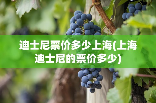 迪士尼票价多少上海(上海迪士尼的票价多少)