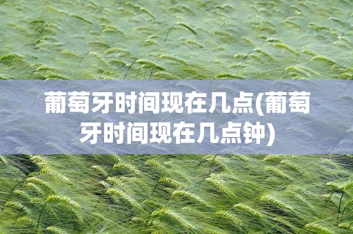 葡萄牙时间现在几点(葡萄牙时间现在几点钟)