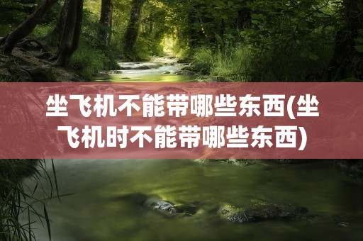 坐飞机不能带哪些东西(坐飞机时不能带哪些东西)