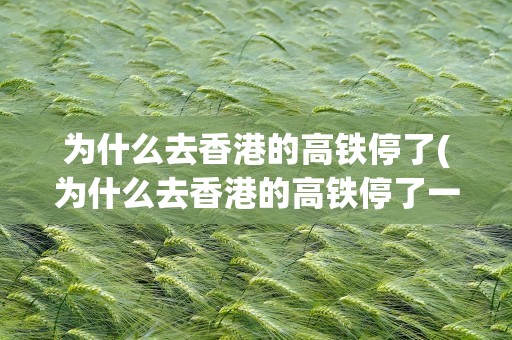 为什么去香港的高铁停了(为什么去香港的高铁停了一天)