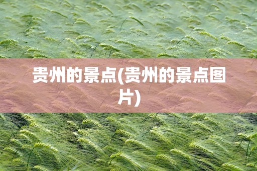 贵州的景点(贵州的景点图片)