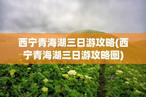 西宁青海湖三日游攻略(西宁青海湖三日游攻略图)