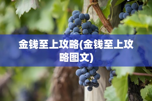 金钱至上攻略(金钱至上攻略图文)