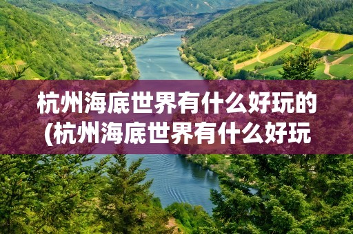 杭州海底世界有什么好玩的(杭州海底世界有什么好玩的吗)