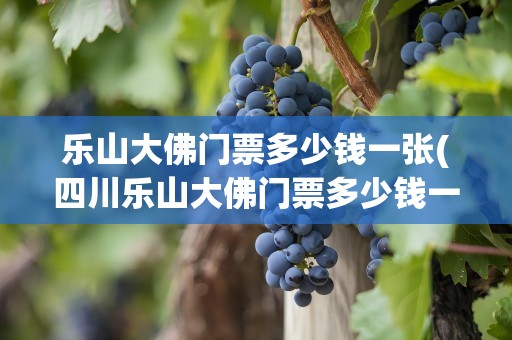 乐山大佛门票多少钱一张(四川乐山大佛门票多少钱一张)