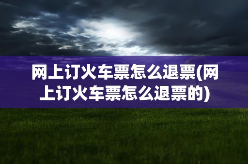 网上订火车票怎么退票(网上订火车票怎么退票的)