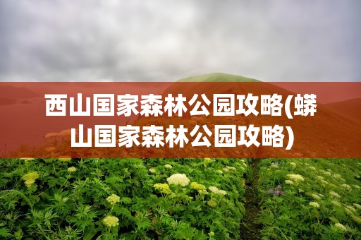 西山国家森林公园攻略(蟒山国家森林公园攻略)